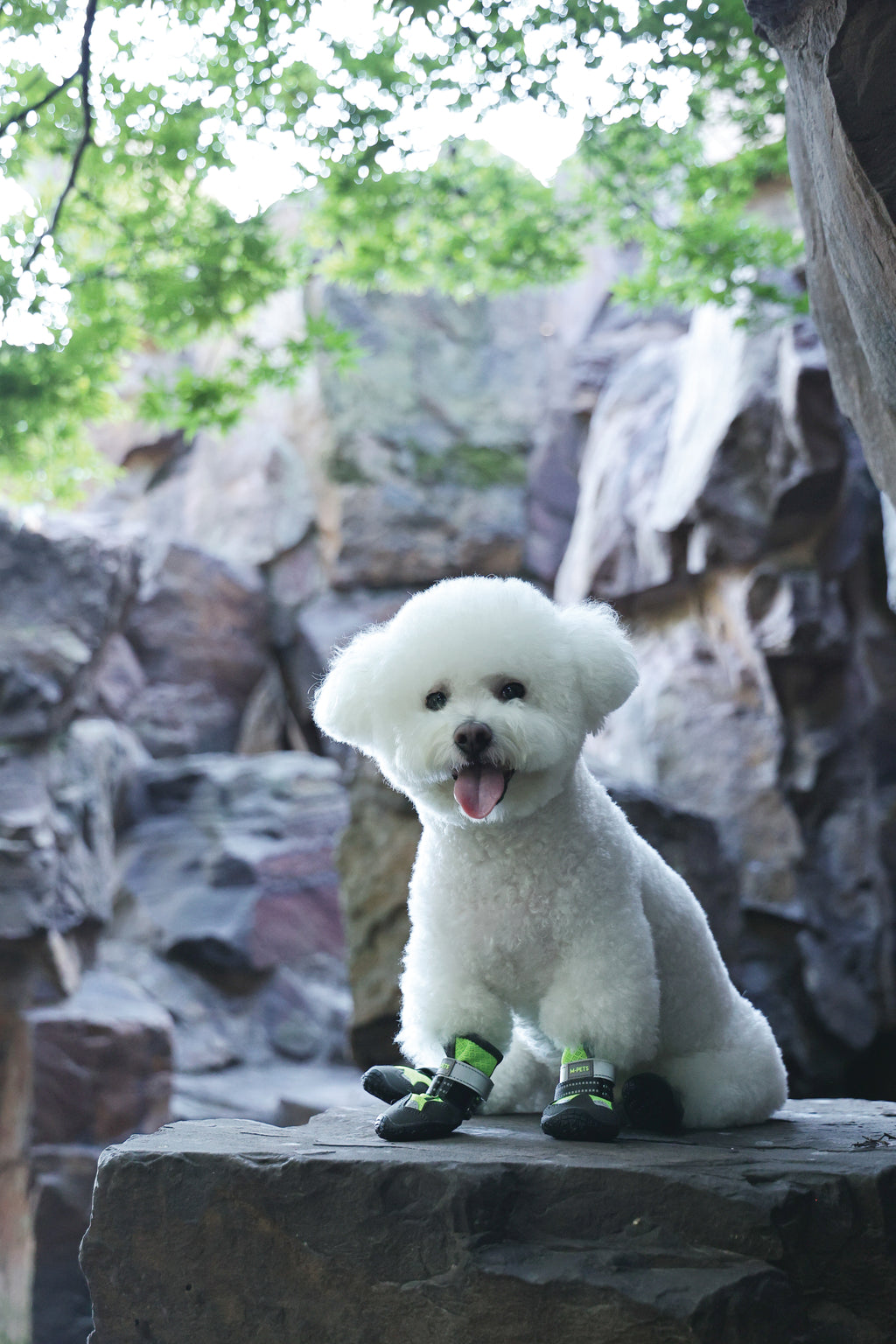 FLEXI SHOES Dog - Green edition