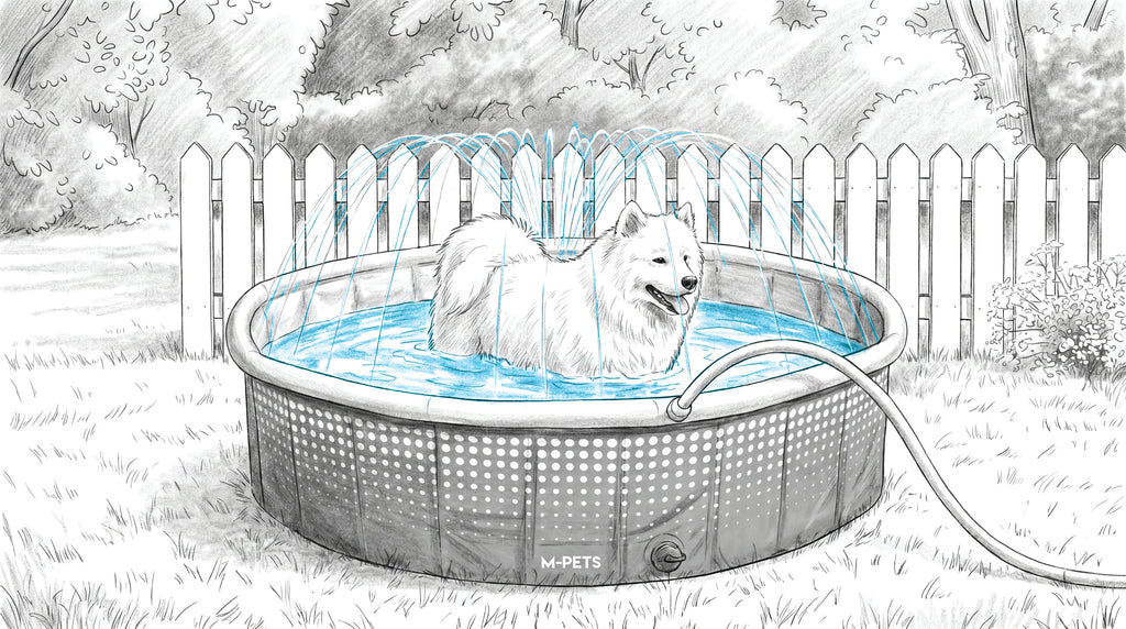 SPLASH Round Swimming Pool With Sprinkler Rim
