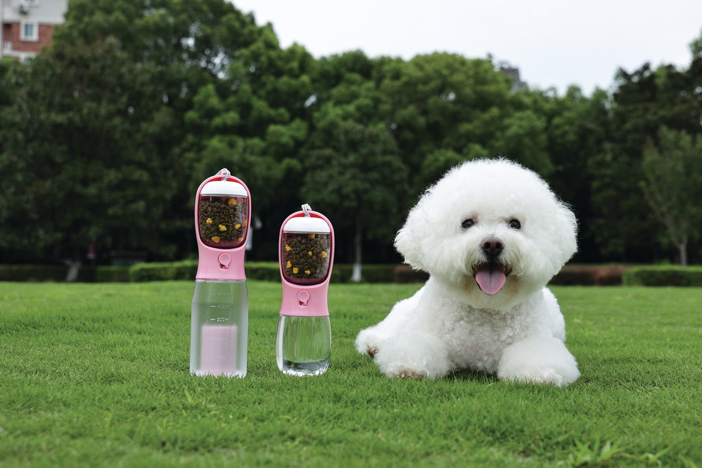 ON THE ROAD Dog water bottle 600 ml - 3 in 1 - Pink bloom