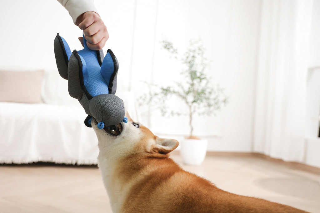 MEGA Giocattolo per cane Ippopotamo