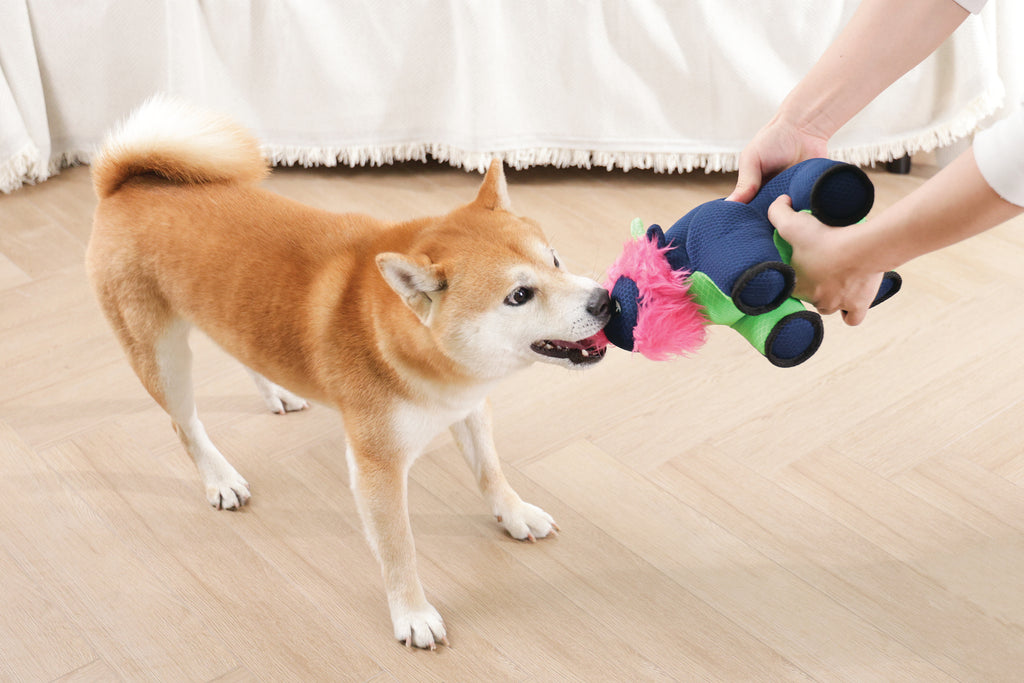 MEGA Giocattolo per cane Bufalo