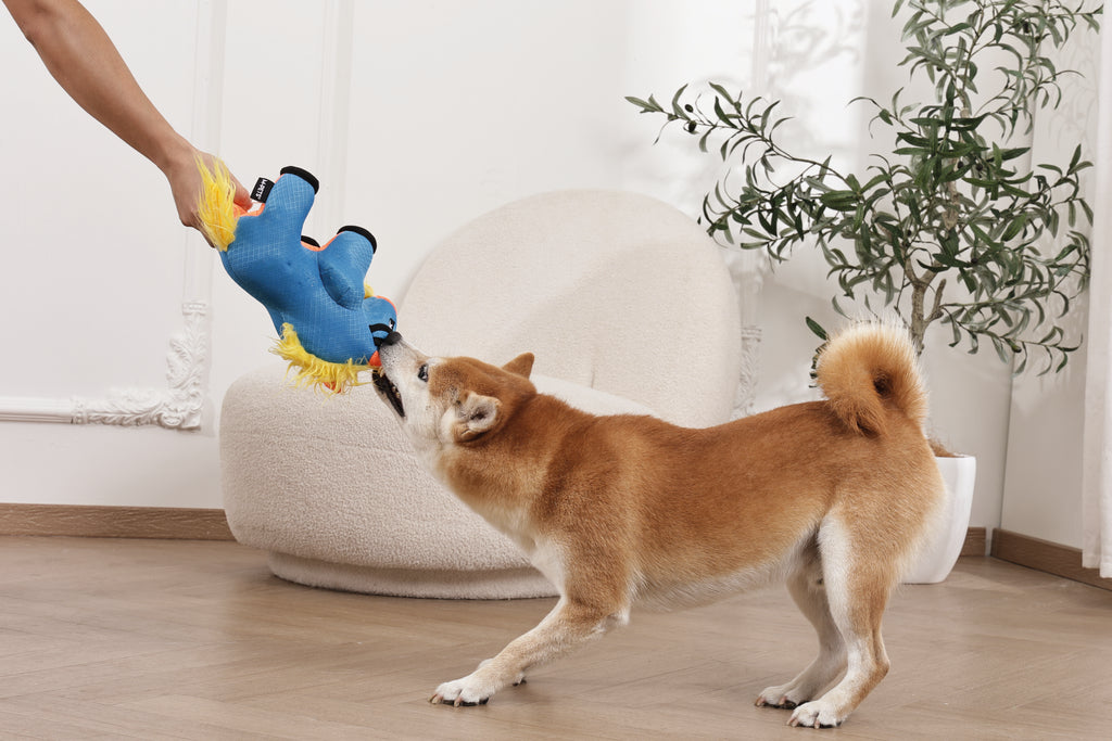 MEGA Dog toy Gnu