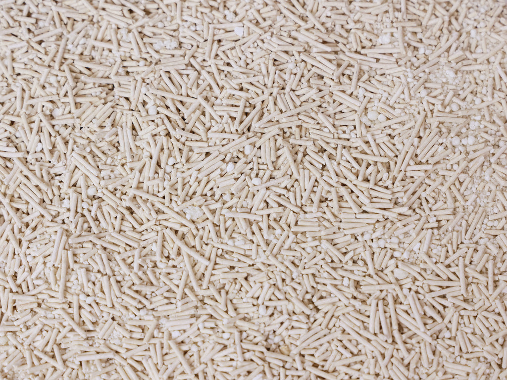 SOYA Lettiera per Gatti CASSAVA