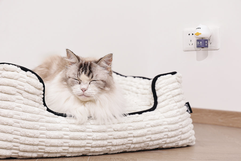 KEEP CALM - Diffusore di feromoni calmanti per gatti - 48ml