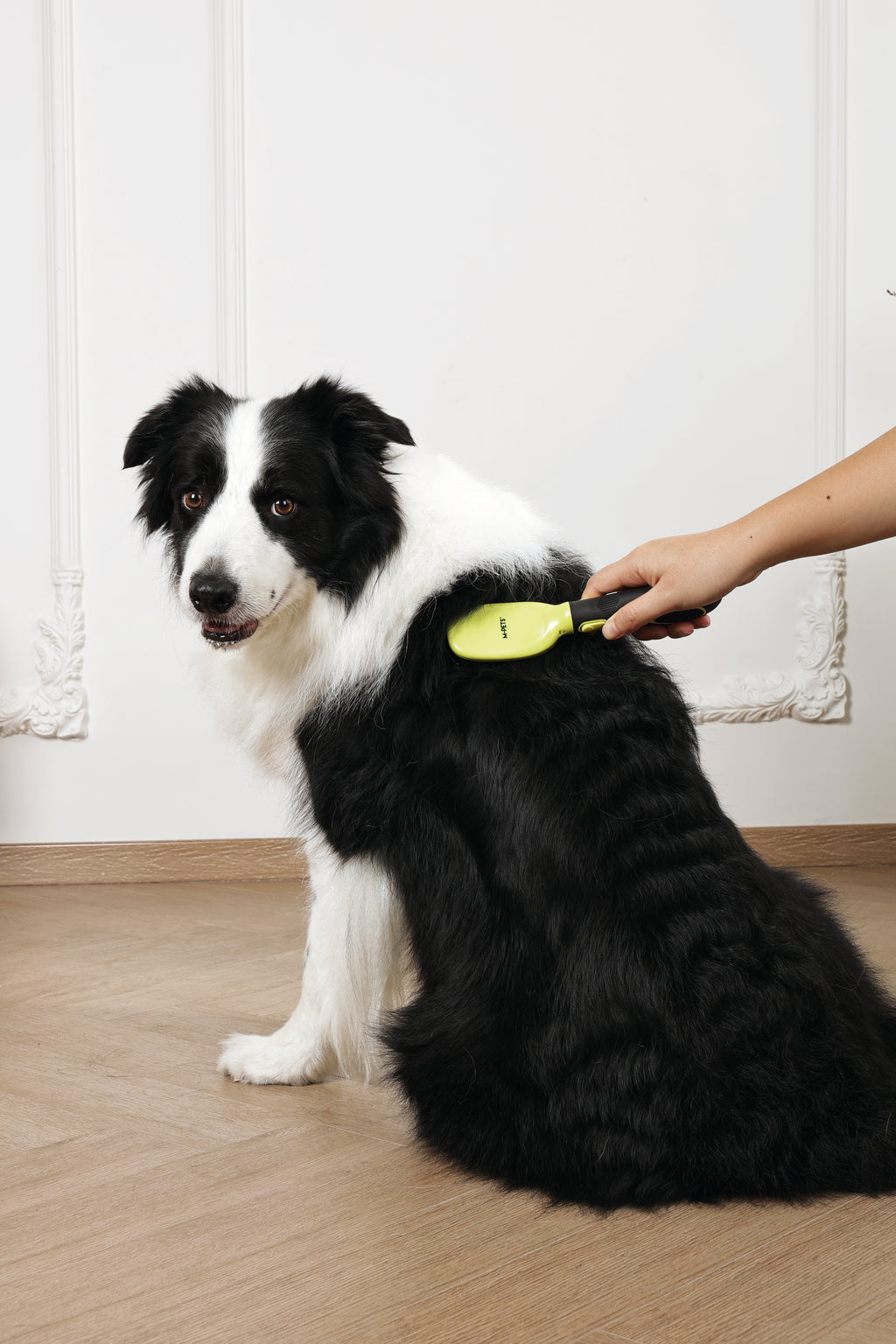 CLICK and GROOM Bristle Brush