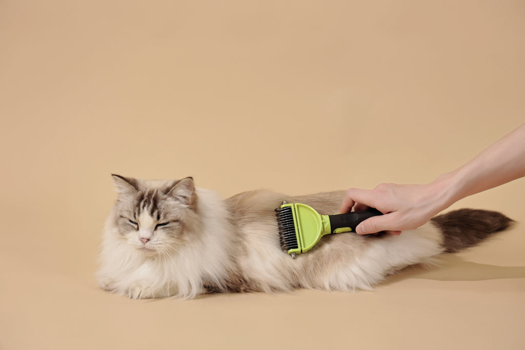 CLICK and GROOM Double-sided Dematting comb