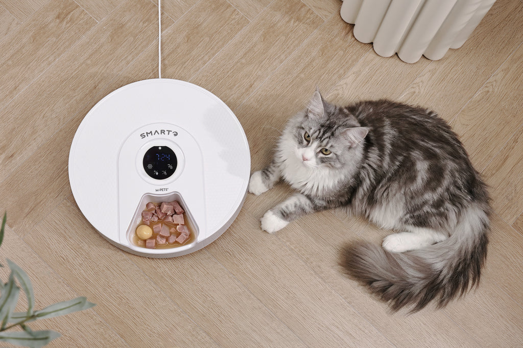 SMARTO M900 Distributore Automatico di Cibo Refrigerato per 6 Pasti