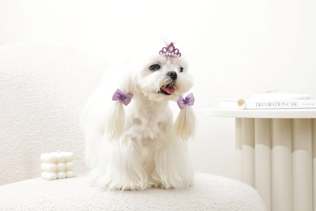 GLAM Accessori per capelli per animali clip e gomma - Viola