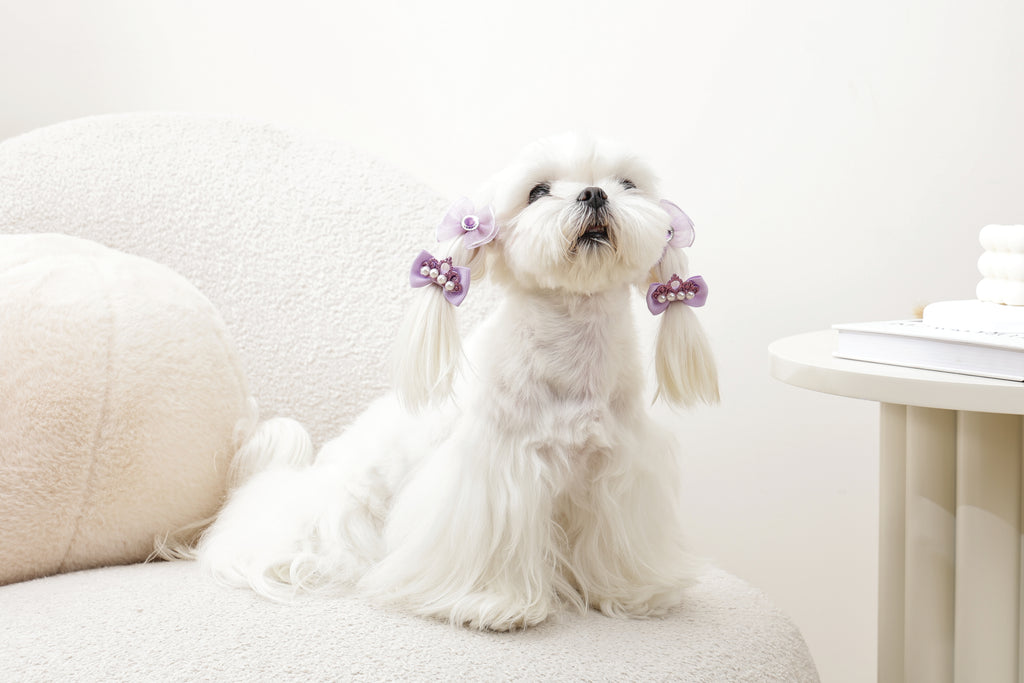 GLAM Accessori per capelli per animali elastico - Viola