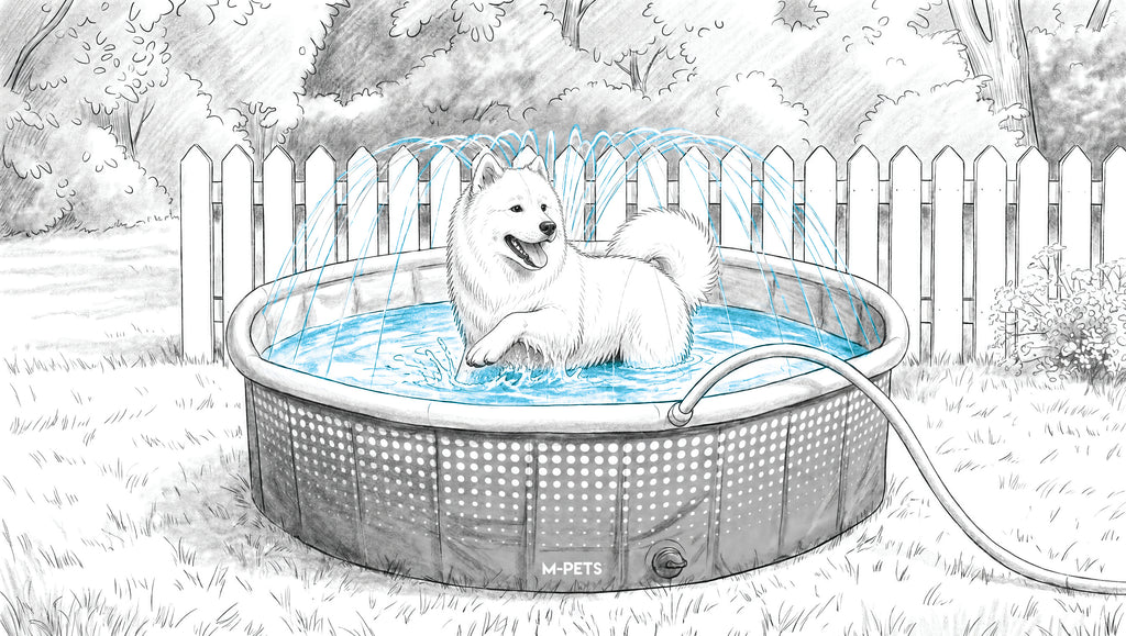 SPLASH Round Swimming Pool With Sprinkler Rim