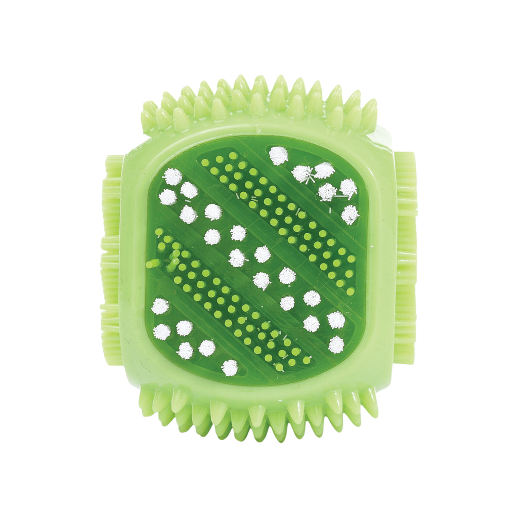 DENTAL Brush toy SQUEAKY CUBE