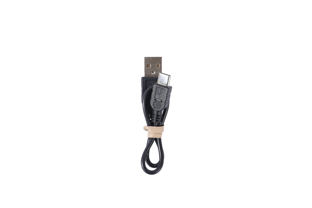 FLASH LED Torcia Cacca Verde