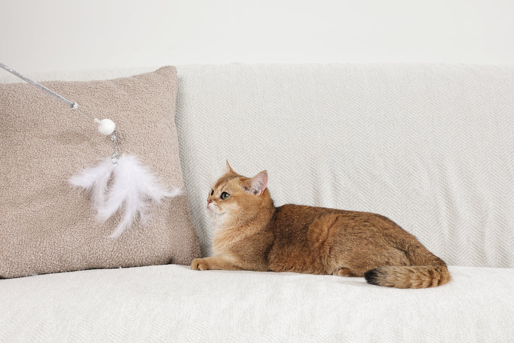 MoonCAT bacchetta per gatti Piuma Stellare - Rosa/Blu Argento & Bianco