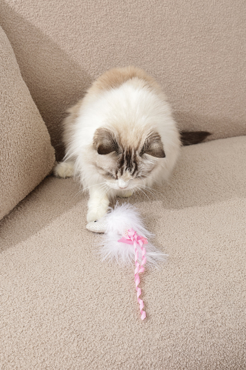 Plume catnip toy Pink fish