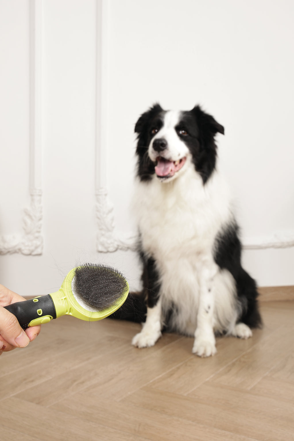CLICK and GROOM Slicker Brush