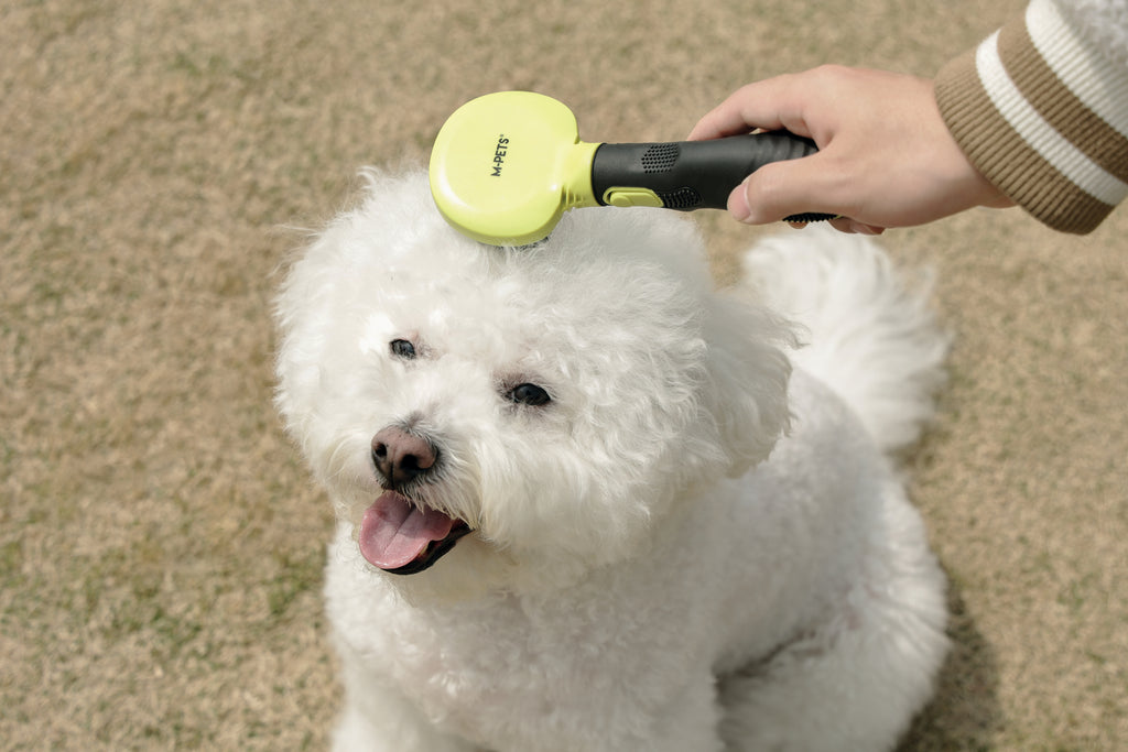 CLICK and GROOM Bristle Brush