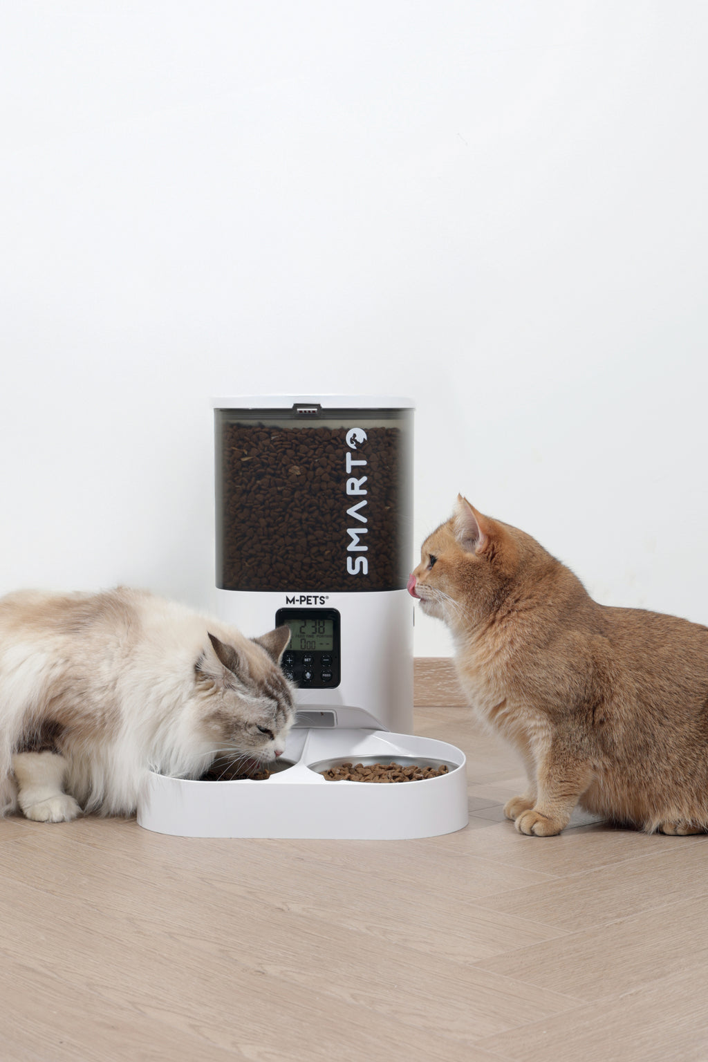SMARTO M800 6L Distributore automatico di cibo