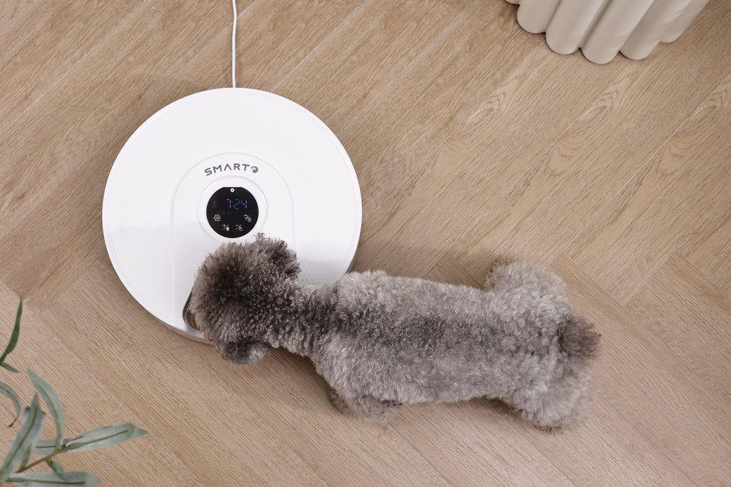 SMARTO M900 Distributore Automatico di Cibo Refrigerato per 6 Pasti