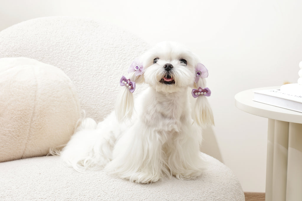 GLAM Accessori per capelli per animali elastico - Viola
