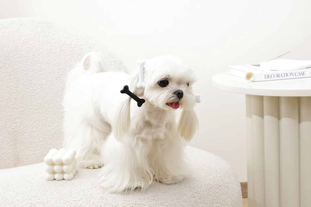 GLAM Accessori per capelli per animali clip a forma di osso - Nero e Bianco