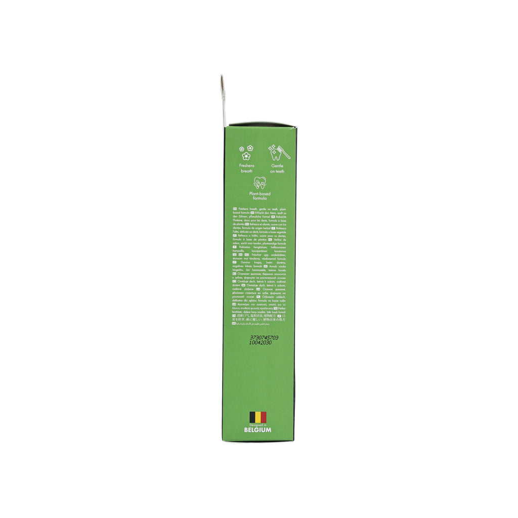 DENTAL CARE PRO Herbal care toothpaste HERBAL