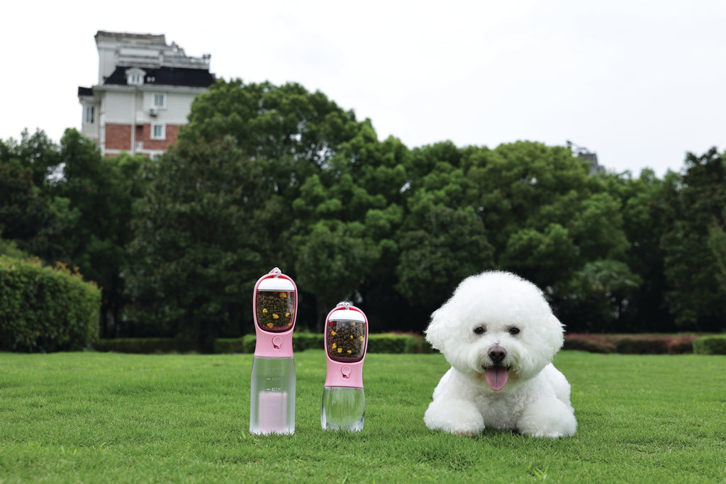 ON THE ROAD Dog water bottle 600 ml - 3 in 1 - Pink bloom