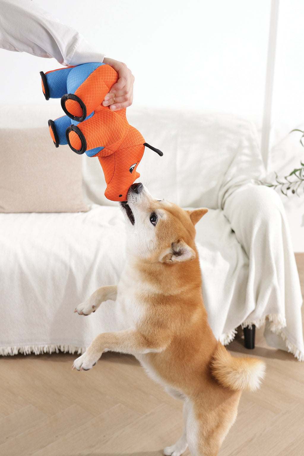 MEGA Giocattolo per cane Rinoceronte