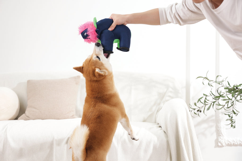 MEGA Giocattolo per cane Bufalo