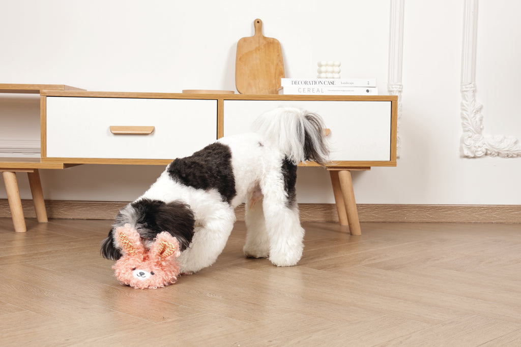 Slippers Dog toy Bunny
