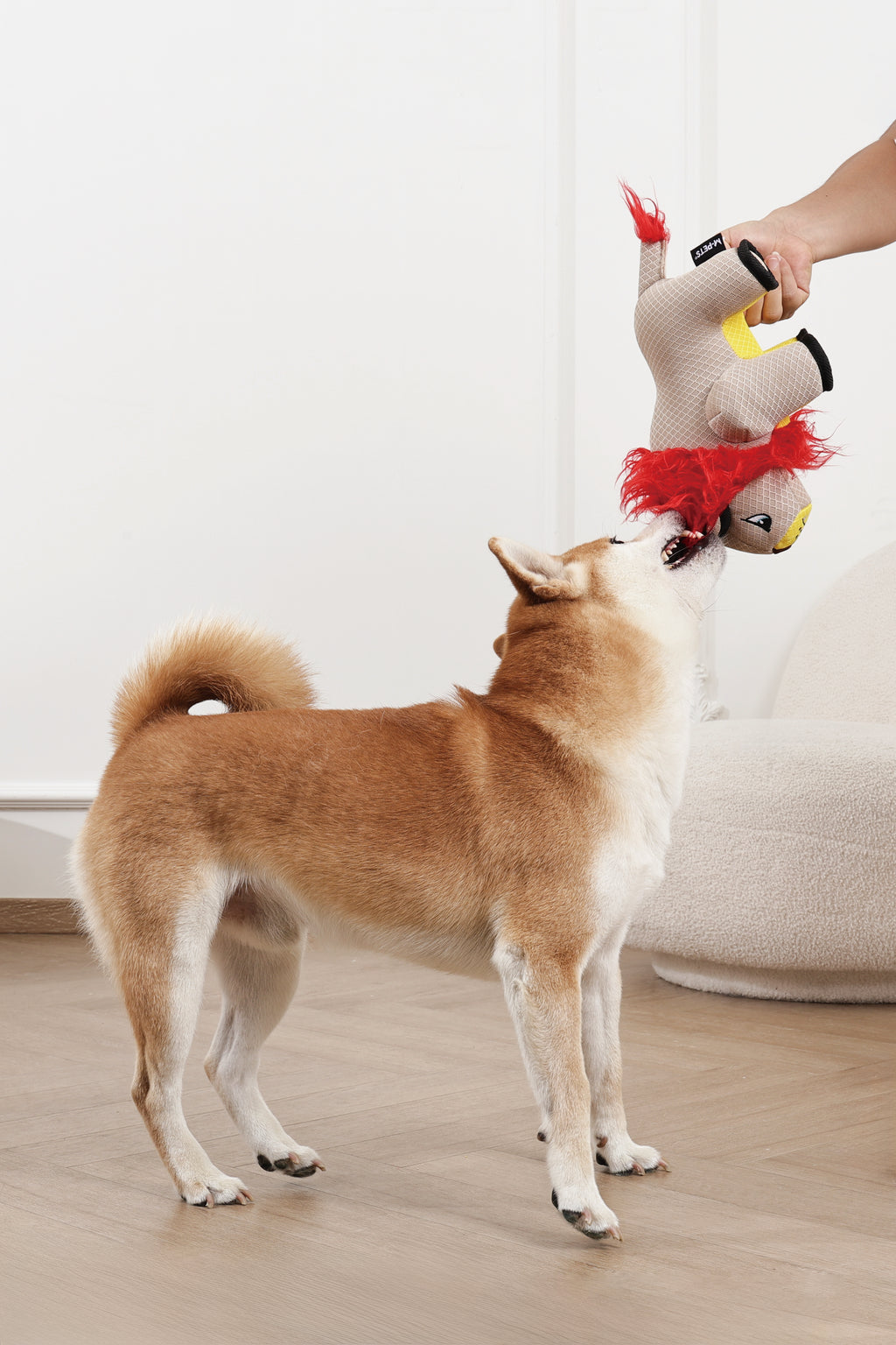 MEGA Dog toy Lion