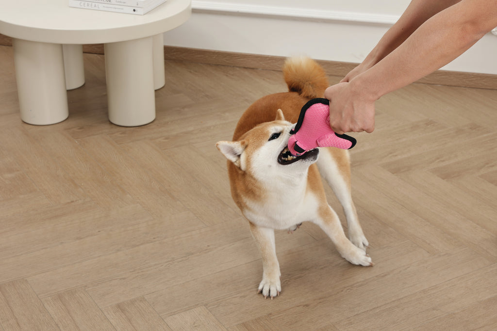 MEGA MINI Dog toy Mini Polar bear