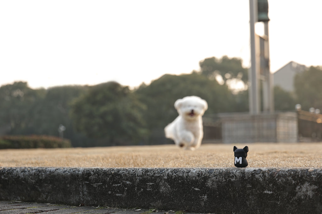 POWER CHEW Dog toy Jet