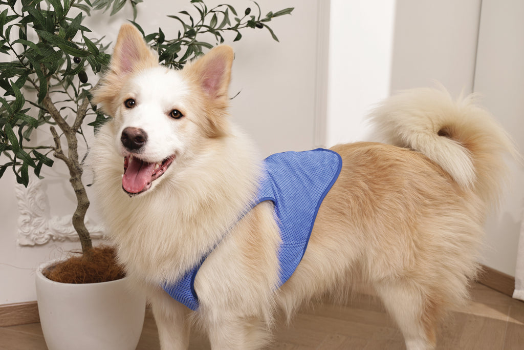COOLING vest