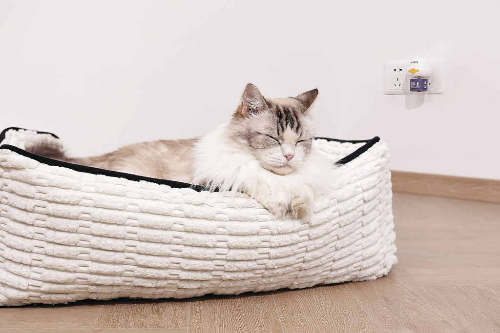 KEEP CALM - Diffusore di feromoni calmanti per gatti - 48ml