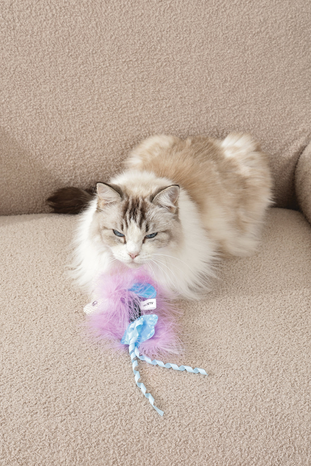 Plume catnip toy Blue fish