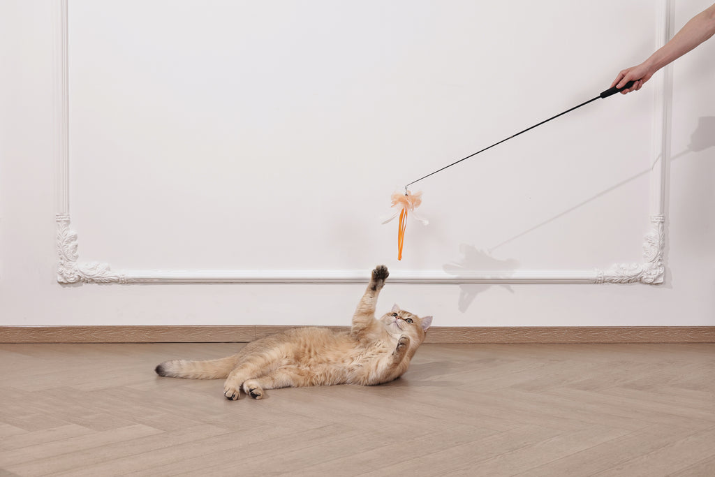Moon cat Telescopic cat wand 2 section Comet Tail