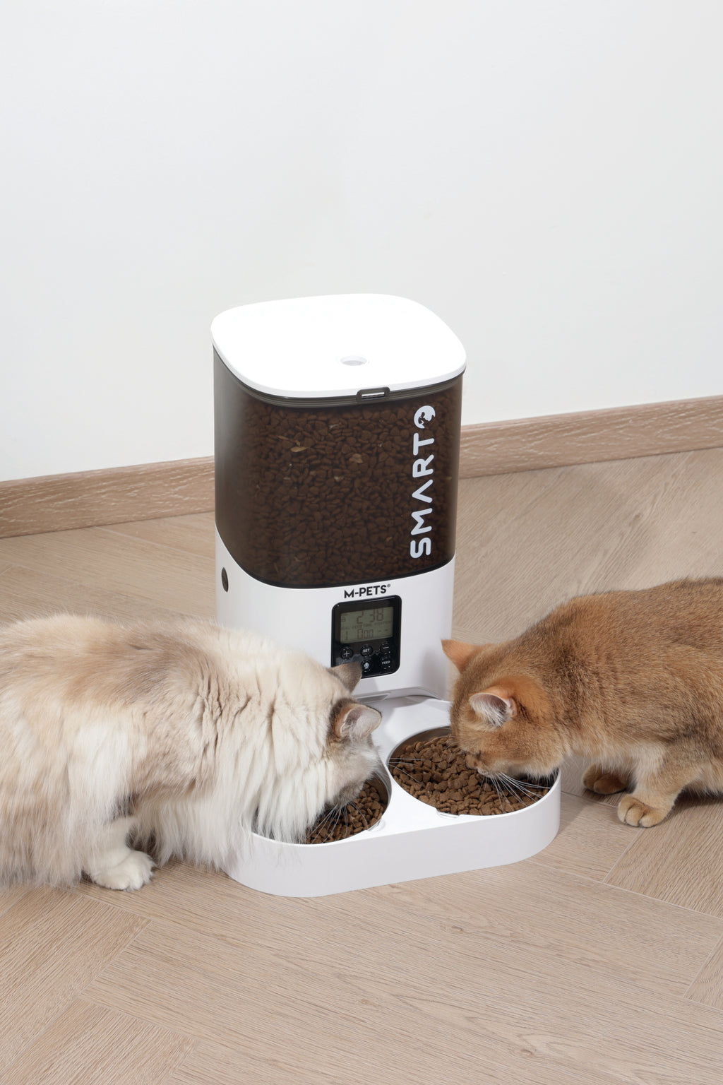 SMARTO M800 6L Distributore automatico di cibo