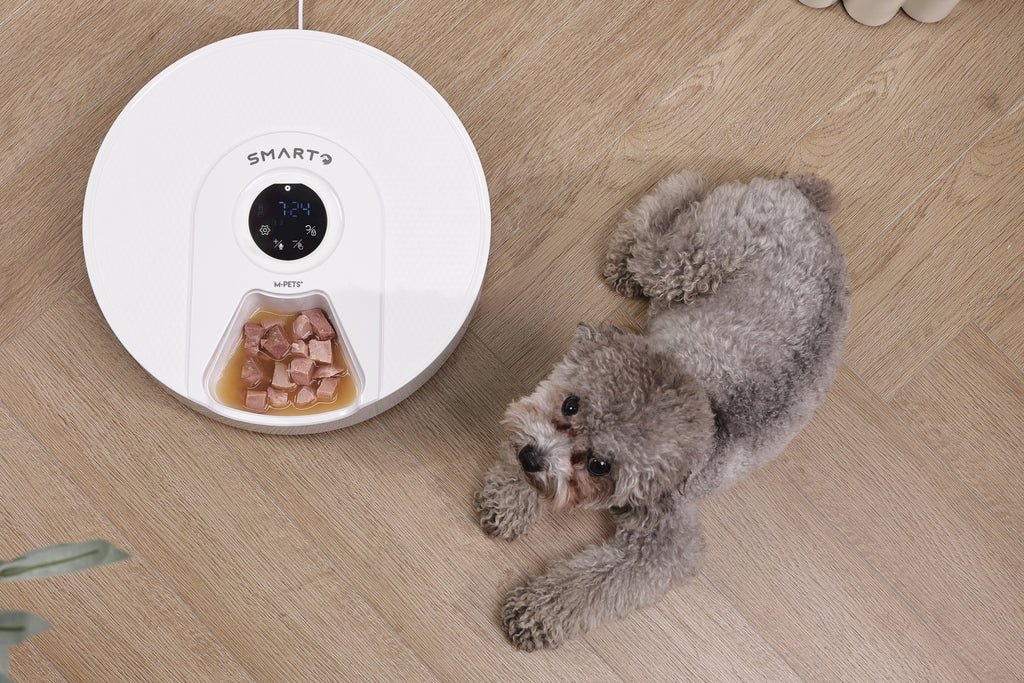 SMARTO M900 Distributore Automatico di Cibo Refrigerato per 6 Pasti