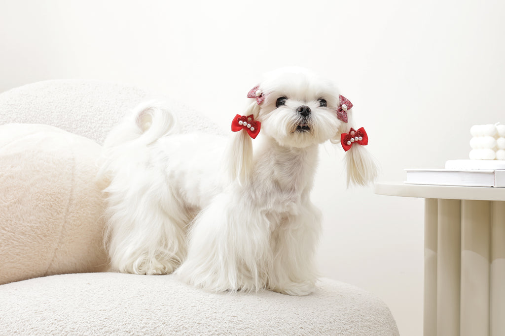 GLAM Accessori per capelli per animali elastico - Rosso