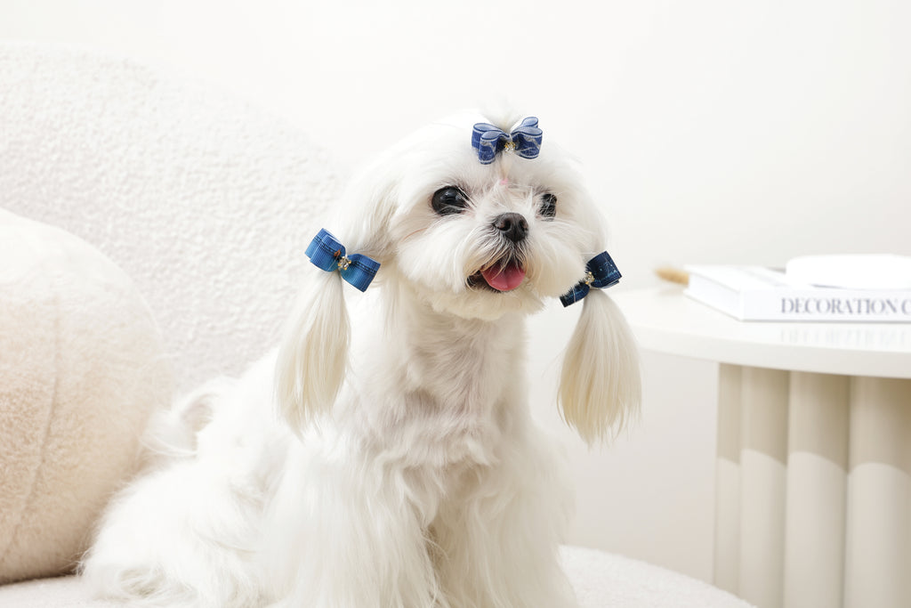 GLAM Accessori per capelli per animali elastico - Blu