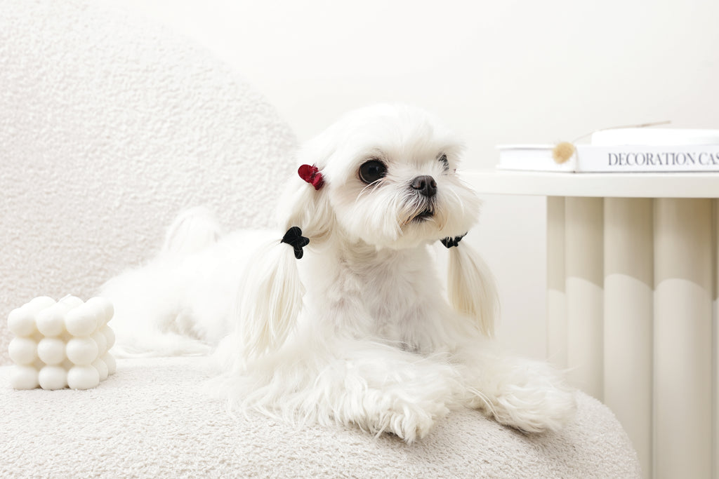 GLAM Accessori per capelli per animali clip a forma di cuore - Nero e Rosso