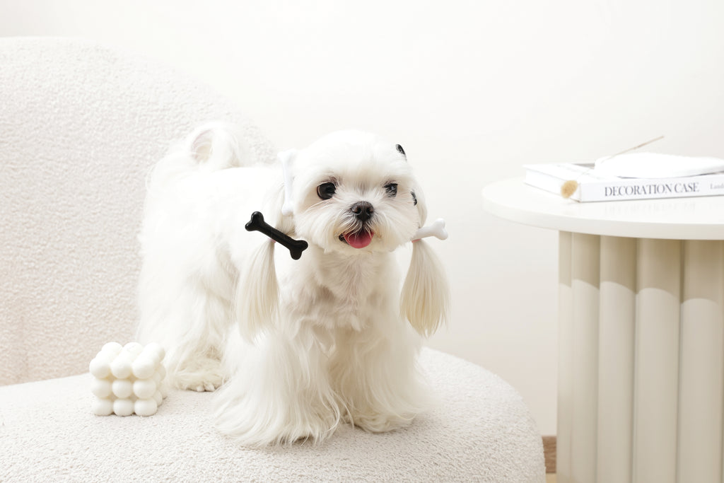 GLAM Accessori per capelli per animali clip a forma di osso - Nero e Bianco