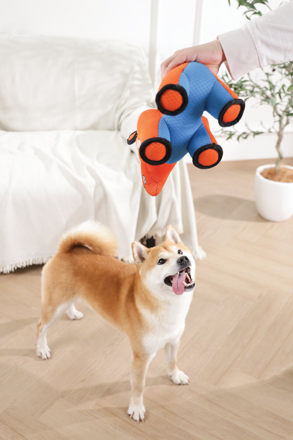 MEGA Giocattolo per cane Rinoceronte