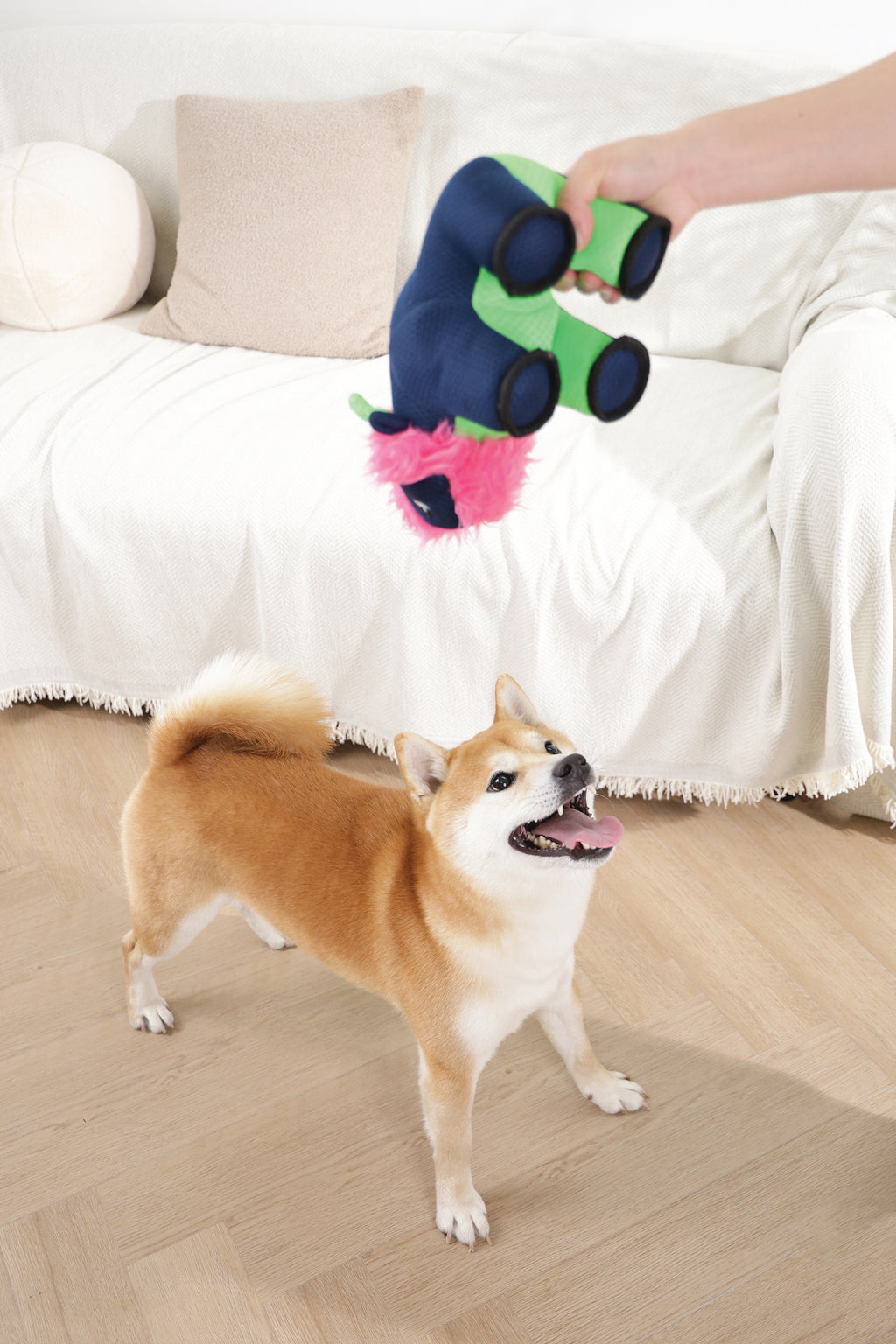 MEGA Giocattolo per cane Bufalo