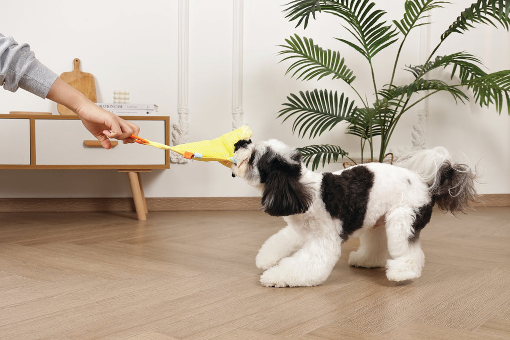 Slippers Dog toy Bee