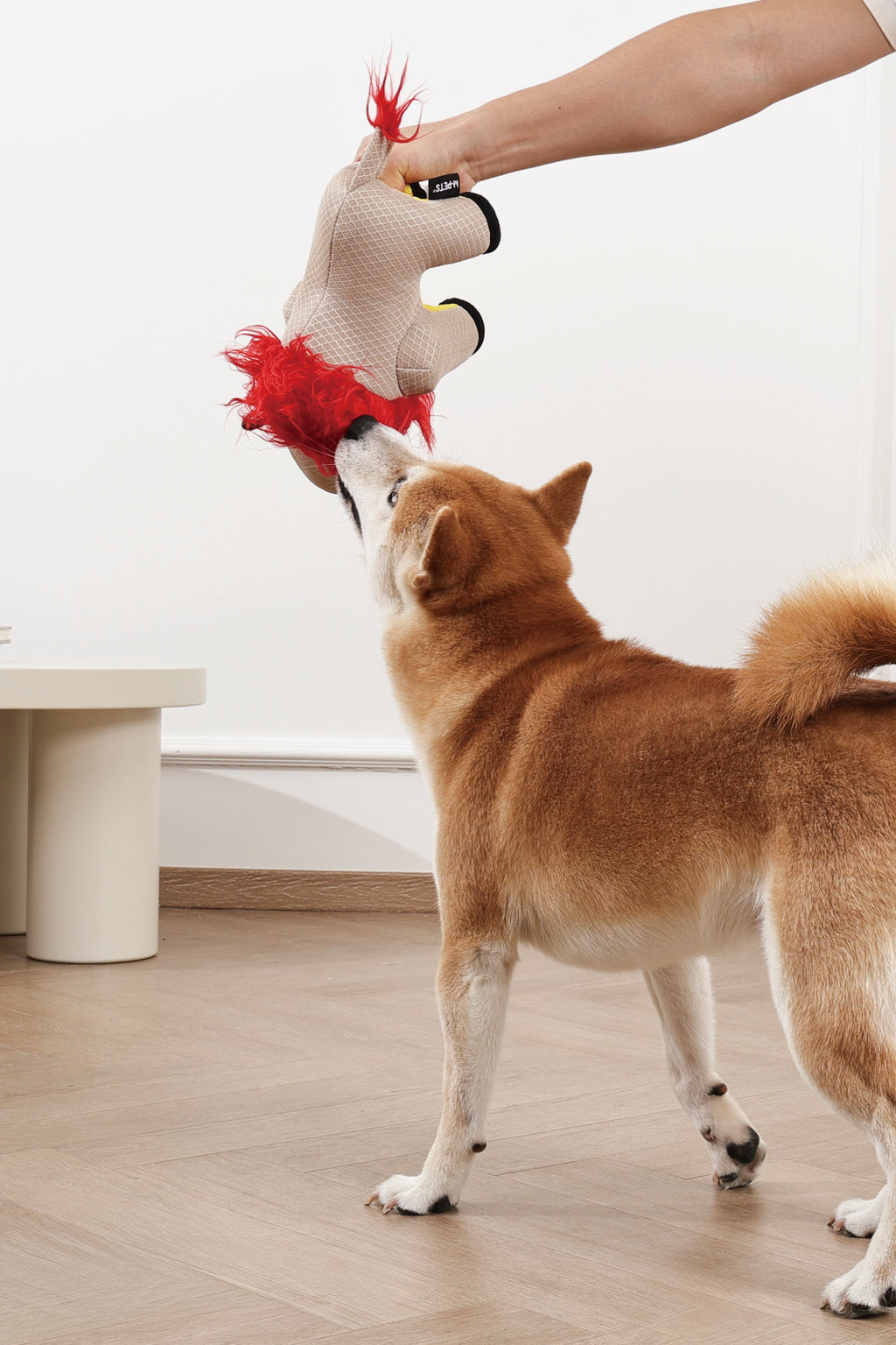 MEGA Dog toy Lion