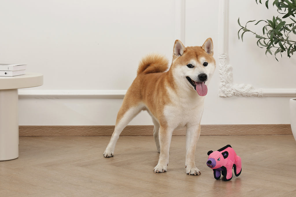 MEGA MINI Dog toy Mini Polar bear
