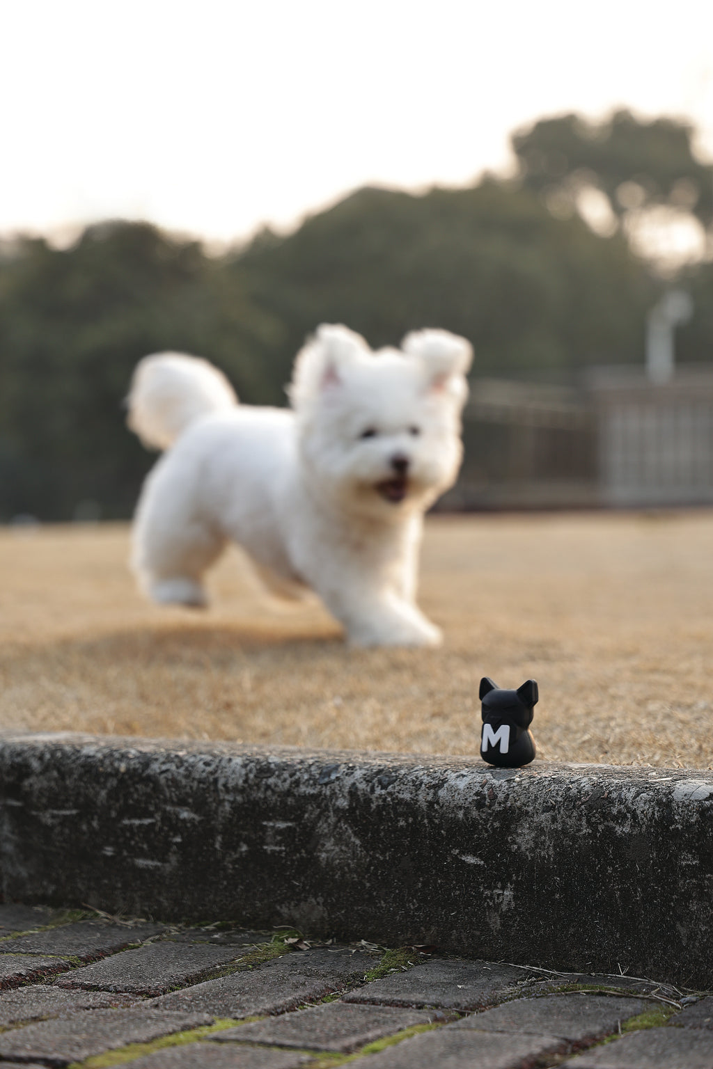 POWER CHEW Dog toy Jet