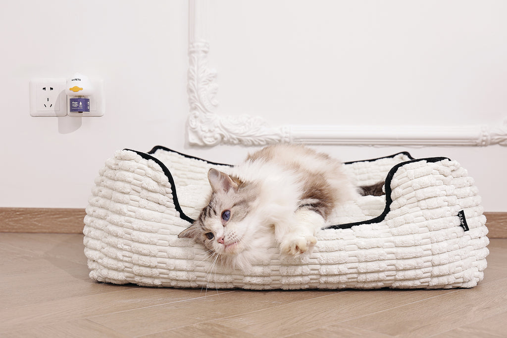 KEEP CALM - Diffusore di feromoni calmanti per gatti - 48ml