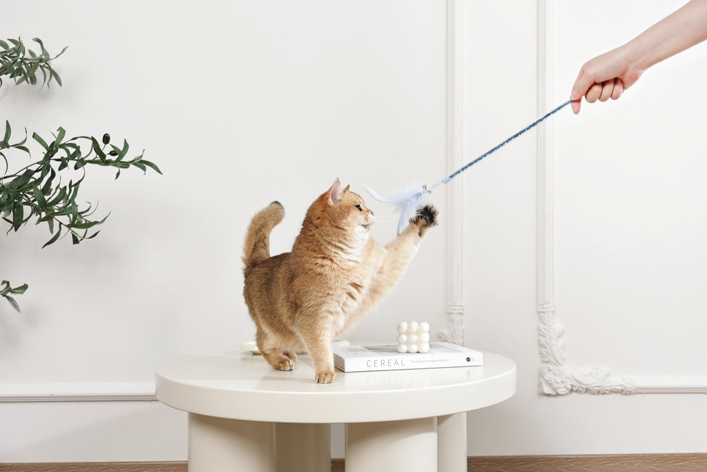 MoonCAT - bacchetta per gatti Piuma Galattica Rosa/Blu Argento e Bianco